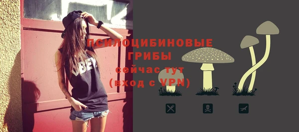 твердый Усмань