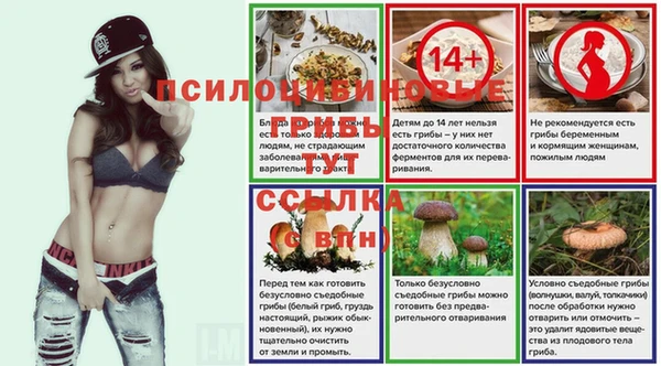 бошки Михайлов