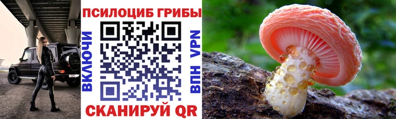 Галлюциногенные грибы Psilocybe  Пестово 